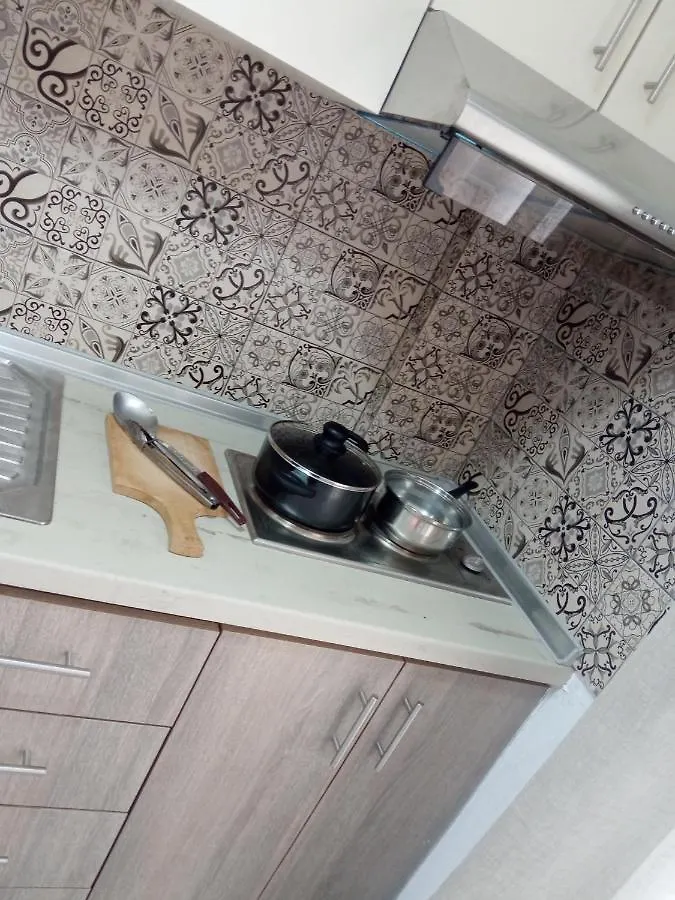 Stefiniki Apartment Ψακούδια